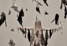 Kunst im Gespräch /Podcastserie Claire Morgan: „The Inevitabel heat Death of the Universe“ von der britischen Künstlerin Claire Morgan.