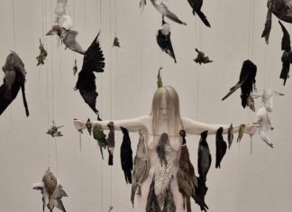 Kunst im Gespräch /Podcastserie Claire Morgan: „The Inevitabel heat Death of the Universe“ von der britischen Künstlerin Claire Morgan.