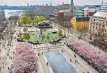 Curators in Residenz Programm / Stockholm