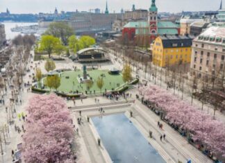 Curators in Residenz Programm / Stockholm