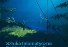 Echtzeitkunstwelt / Kulturforum Warschau Bild: Plakat von Jacek Malinowski anhand des Fotos: Echtzeitkunstwelt (c) ORF musikprotokoll M.Gross