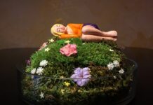 Judith Lava: Darf ich vorstellen – Lili! / Kulturforum Bratislava Kunstfigur Pocket-Frau "Lili" liegt auf einer Blumenwiese