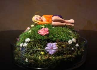 Judith Lava: Darf ich vorstellen – Lili! / Kulturforum Bratislava Kunstfigur Pocket-Frau "Lili" liegt auf einer Blumenwiese