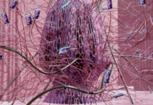 Dagmar Schürrer beim ISEA 2025 in Seoul / Botschaft Seoul Aus einer eiförmigen Skulptur gebildet von verflochtenen Strängen, entwachsen geschwungene Tentakel, an deren Enden die Displays von Smartphones Bilder zeigen .