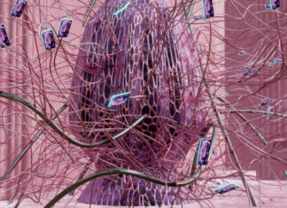 Dagmar Schürrer beim ISEA 2025 in Seoul / Botschaft Seoul Aus einer eiförmigen Skulptur gebildet von verflochtenen Strängen, entwachsen geschwungene Tentakel, an deren Enden die Displays von Smartphones Bilder zeigen .