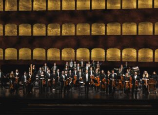 Orchester Divertimento Viennese / Kulturforum Berlin Das Bild zeigt die Mitglieder des „Orchester Divertimento Viennese“. 44 Musikerinnen und Musikern stehen im Rampenlicht der Bühne. Im Hintergrund sehen wir die Prunkvollen Logen eines Konzerthauses, verziert in den Farben Gold und Braun.