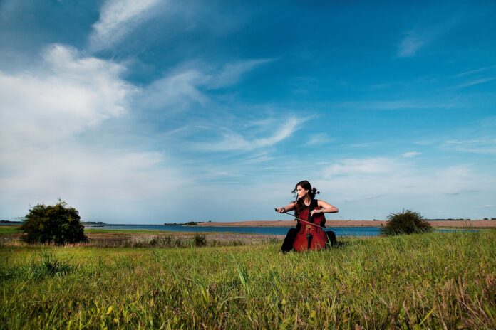 @Felix Broede Eine Frau sitzt in einem Feld und spielt Cello.