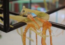 Designkollektiv DING in Göteborg / Botschaft Stockholm Das Bild zeigt DING Design in Göteborg