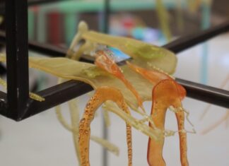 Designkollektiv DING in Göteborg / Botschaft Stockholm Das Bild zeigt DING Design in Göteborg