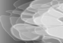 tense_intense. Parallel Media / Kulturforum Berlin Das Bild zeigt abstrakte, überlagerte Formen in Schwarz-Weiß. Die Formen wirken wie transparente Schichten, die sich teils überlagern und miteinander verschmelzen. Die Struktur erinnert an Röntgen-Scans oder Licht, das durch verschiedene Ebenen fällt. Das Bild vermittelt einen Eindruck von Durchsichtigkeit und Tiefe.