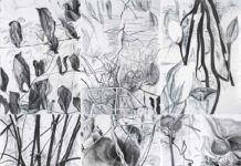 Andreas Duscha & Radenko Milak /Kulturforum Brüssel Das Bild zeigt sechs verschiedene Zeichnungen in Schwarz-Weiß. Die Motive der Zeichnungen sind verschiedene Pflanzen und Blumen in halb-realistischen, halb-surrealistischen Konstellationen.