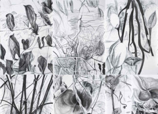 Andreas Duscha & Radenko Milak /Kulturforum Brüssel Das Bild zeigt sechs verschiedene Zeichnungen in Schwarz-Weiß. Die Motive der Zeichnungen sind verschiedene Pflanzen und Blumen in halb-realistischen, halb-surrealistischen Konstellationen.