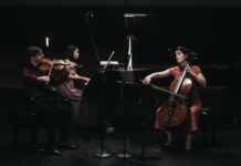 accio piano trio / Kulturforum Brüssel Das Bild zeigt die drei Musiker des accio piano trio, die in einem dunklen Raum spielen. Von links nach rechts sieht man einen Mann, der Geige spielt, eine Frau, die weiter hinten Klavier spielt, und dann, gegenüber dem Mann sitzend, eine Frau, die Cello spielt.