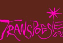 Transpoesie Festival 2025 / Kulturforum Brüssel Das Bild zeigt einen pinken Schriftzug mit "Transpoesie 2025" auf braunem Hintergrund.