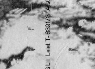 Ausstellung – Lili Agg / Kulturforum Budapest Das Bild zeigt das Ausstellungsplakat in grauer Farbe.