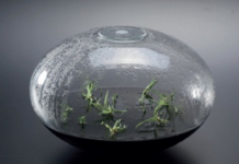 Ausstellung Nature | Feeling | Form / Kulturforum Mailand Das Bild zeigt A-Symbiose von Sarah Rechberger Borosilicate glass, nutrient medium, orchids, paraffin, color orange