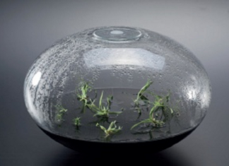 Ausstellung Nature | Feeling | Form / Kulturforum Mailand Das Bild zeigt A-Symbiose von Sarah Rechberger Borosilicate glass, nutrient medium, orchids, paraffin, color orange