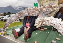 Ausstellung „Reiner Riedler: This Side of Paradise“ / Kulturforum Bratislava