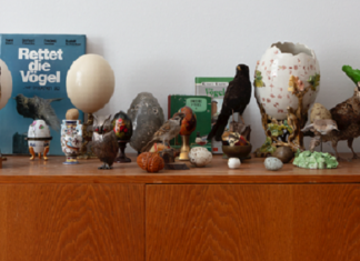 Multimediale Ausstellung / Kulturforum Mailand