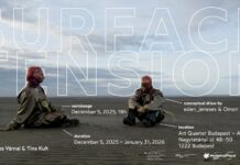 Ausstellung/ Kulturforum Budapest Das Bild zeigt das Ausstellungsplakat mit zwei Personen, die Masken tragen.