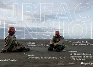 Ausstellung/ Kulturforum Budapest Das Bild zeigt das Ausstellungsplakat mit zwei Personen, die Masken tragen.