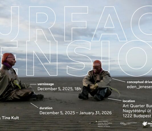 Ausstellung/ Kulturforum Budapest Das Bild zeigt das Ausstellungsplakat mit zwei Personen, die Masken tragen.