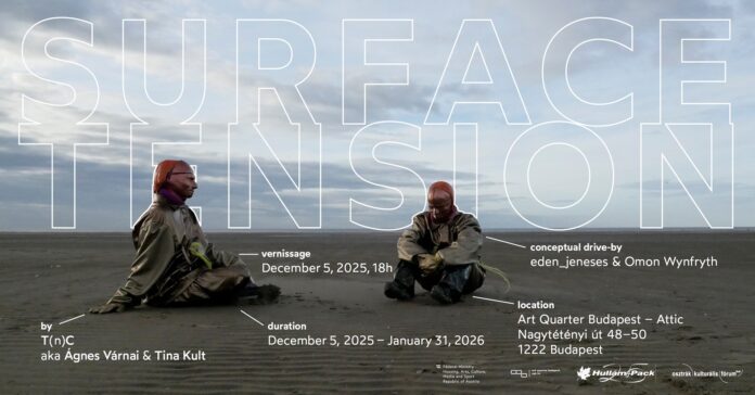 Bild: T(n)C Das Bild zeigt das Ausstellungsplakat mit zwei Personen, die Masken tragen.