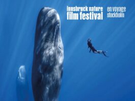 Innsbruck Naturfilm Festival in Stockholm / Botschaft Stockholm Das Bild zeigt das Plakat für den Film Patrick and the Whale.