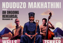 Musikalische Begegnungen / Kulturforum Pretoria Das Bild zeigt ein Poster für das Konzert am 20.2. in Kapstadt mit allen drei Musikern und ihren Instrumenten. Die Namen der Musiker sowie des Veranstaltungsortes, die YoungBlood Gallery in Kapstadt sind abgedruckt. Das Poster in rosaroter Farbe gehalten und alle beteiligten Institutionen sind mit ihren Logos vertreten, so auch die ÖB Pretoria und das KF Pretoria.