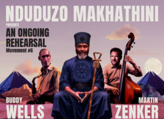 Musikalische Begegnungen / Kulturforum Pretoria Das Bild zeigt ein Poster für das Konzert am 20.2. in Kapstadt mit allen drei Musikern und ihren Instrumenten. Die Namen der Musiker sowie des Veranstaltungsortes, die YoungBlood Gallery in Kapstadt sind abgedruckt. Das Poster in rosaroter Farbe gehalten und alle beteiligten Institutionen sind mit ihren Logos vertreten, so auch die ÖB Pretoria und das KF Pretoria.