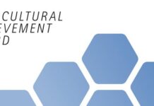 Intercultural Achievement Award 2026 / Task Force Dialog der Kulturen das Logo des IAA