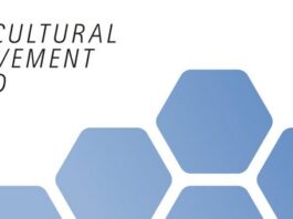 Intercultural Achievement Award 2026 / Task Force Dialog der Kulturen das Logo des IAA