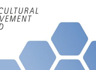 Intercultural Achievement Award 2026 / Task Force Dialog der Kulturen das Logo des IAA