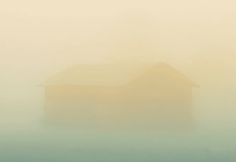 Martin Prinz: Die letzten Tage / Kulturforum Washington Das Bild zeigt das Buchcover „Die letzten Tage“