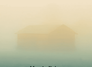 Martin Prinz: Die letzten Tage / Kulturforum Washington Das Bild zeigt das Buchcover „Die letzten Tage“