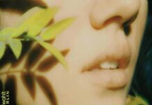 Buchpräsentation / Botschaft Ankara und Kulturforum Istanbul Das Bild zeigt das Buchcover des Romans Glühen von Theodora Bauer. Zu sehen ist eine Nahaufnahme eines Gesichts, das von grünen Blättern umgeben ist. Auf dem Cover stehen der Name der Autorin und der Titel des Romans.