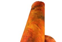 Farbe im Kopf: Kunst im Dialog / Kulturforum Prag Das Bild zeigt eine fliegende orange Papierrolle, die eingewickelt ist. Es handelt sich um das Kunstwerk von Beate Winkler.