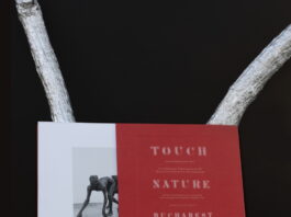 Touch Nature @ /SAC Bucharest / Kulturforum Bukarest Das Bild zeigt das Buch „Touch Nature @ /SAC Bucharest