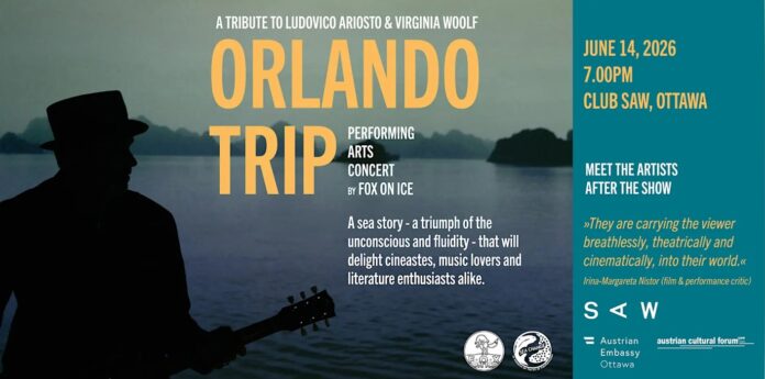 Das Bild zeigt die Silhouette einer Person mit Hut und Gitarre vor einer dunklen Wasserlandschaft. Der Titel „ORLANDO TRIP“ ist in großen gelben Buchstaben mittig abgedruckt, daneben befinden sich Informationen zu den Künstlern sowie zur Performance. Auf der rechten Seite sind auf blauem Hintergrund die Konzertdaten „14. Juni“, der Veranstaltungsort „Club SAW“, eine Kritik, die Möglichkeit, die Künstler persönlich zu treffen, sowie die Logos der Mitwirkenden abgebildet.