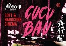 CUCU BAU / Kulturforum Bukarest Das Bild zeigt das Plakat des Filmvestivals