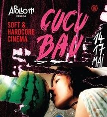 CUCU BAU / Kulturforum Bukarest Das Bild zeigt das Plakat des Filmvestivals