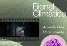 Klimabiennale Avilés / Kulturforum Madrid Rosafarbene Anemonenblüte aus Tuch vor dunkelgrünem Hintergrund.
