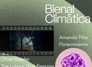 Klimabiennale Avilés / Kulturforum Madrid Rosafarbene Anemonenblüte aus Tuch vor dunkelgrünem Hintergrund.