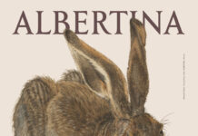 250 Jahre Albertina / Kulturforum Prag Eine detailreiche Illustration zeigt einen sitzenden, braun gefärbten Hasen mit langen aufgerichteten Ohren vor beigefarbenem Hintergrund. Darüber steht „ALBERTINA“, darunter groß „250 YEARS“.