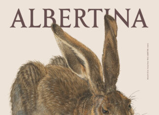250 Jahre Albertina / Kulturforum Prag Eine detailreiche Illustration zeigt einen sitzenden, braun gefärbten Hasen mit langen aufgerichteten Ohren vor beigefarbenem Hintergrund. Darüber steht „ALBERTINA“, darunter groß „250 YEARS“.