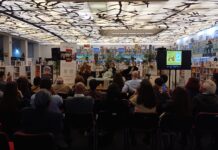 Buchpräsentation Arthur Schnitzler / Kulturforum Mexiko Das Bild zeigt eine Podiumsdiskussion samt Publikum in einer Bücherei. Darüber hinaus ist ein roll-up des Österreichischen Kulturforums Mexiko prominent am Podium platziert.