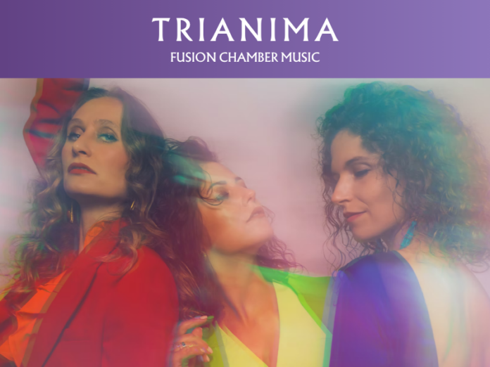 Das Bild zeigt die drei Musikerinnen des Trios TRIANIMA: Johanna Gossner, Marilies Guschlbauer und Isabel Goller.